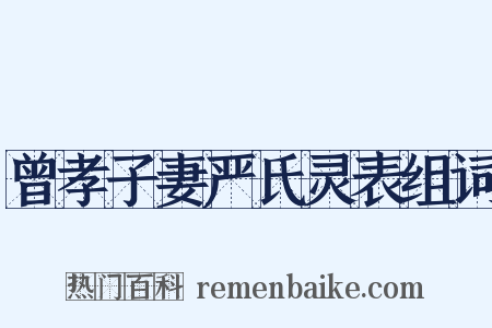 曾孝子妻严氏灵表组词是什么意思的图片
